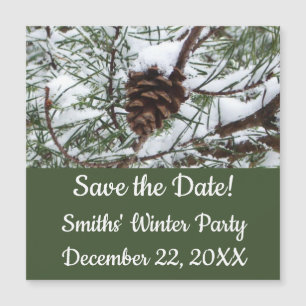 Snowy Pine Cone II Winter Natuur Fotografie