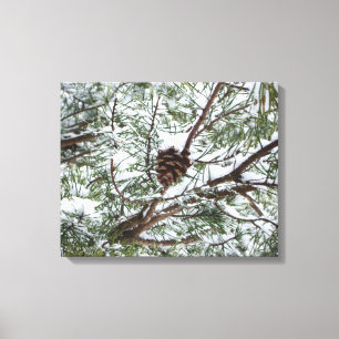 Snowy Pine Cone II Winter Natuur Fotografie Canvas Afdruk