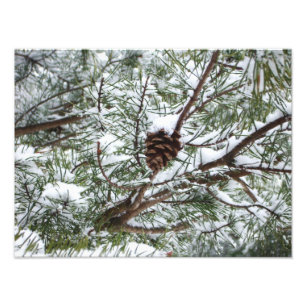 Snowy Pine Cone II Winter Natuur Fotografie Foto Afdruk