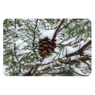 Snowy Pine Cone II Winter Natuur Fotografie Magneet
