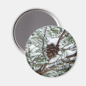 Snowy Pine Cone II Winter Natuur Fotografie Magneet (Voorkant / Achterkant)