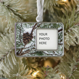 Snowy Pine Cone II Winter Natuur Fotografie Verzilverd Kader Ornament