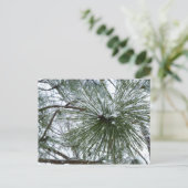 Snowy Pine Needles Winter Natuur Briefkaart (Staand voorkant)