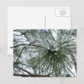 Snowy Pine Needles Winter Natuur Briefkaart (Voorkant / Achterkant)