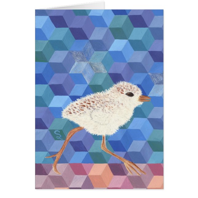 Snowy Plover Chick (Voorkant)