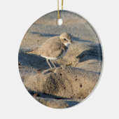 Snowy Plover Keramisch Ornament (Links)