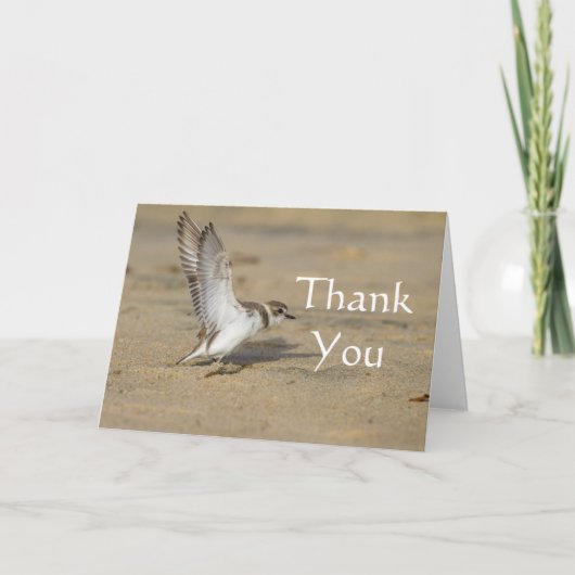 Snowy Plover Stretch, bedankt (Voorkant)