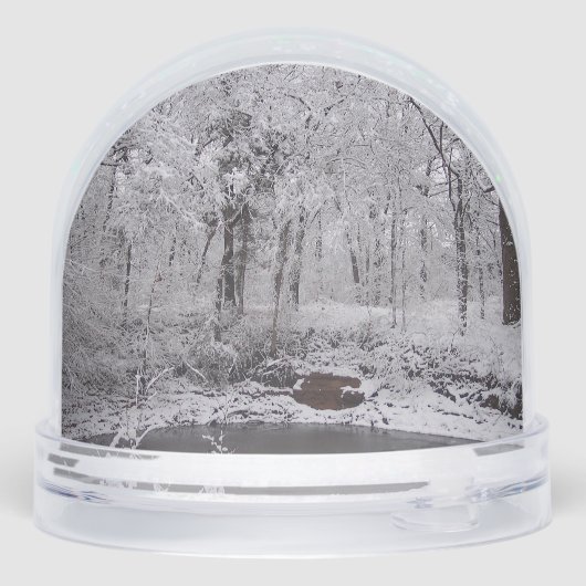 Snowy Pond Snow Wereldbol Sneeuwbol (Achterkant)