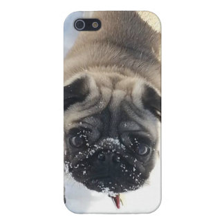 Snowy Pug iPhone 5/5s glanzend hoesje