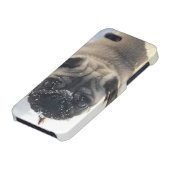 Snowy Pug iPhone 5/5s glanzend hoesje (Onderkant)