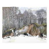 Snowy ravine foto afdruk (Voorkant)