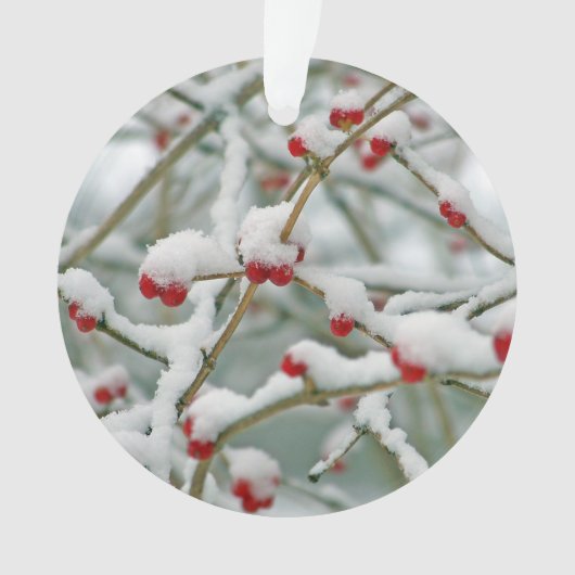 Snowy Red Berries scène d'hiver (devant)