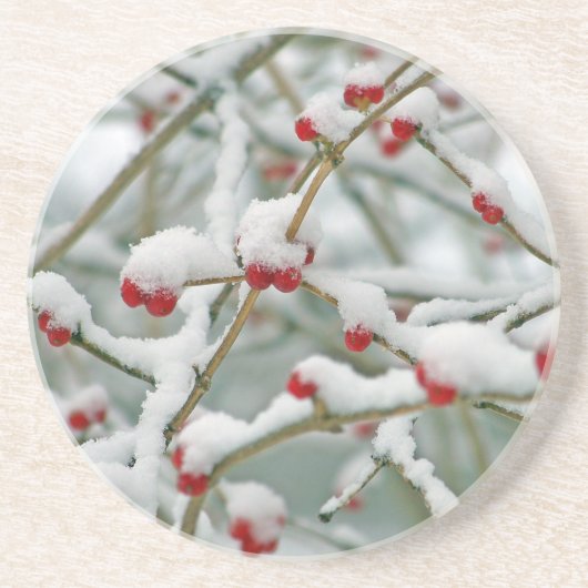 Snowy Red Berries Winter Scene Dessous de verre de (Devant)