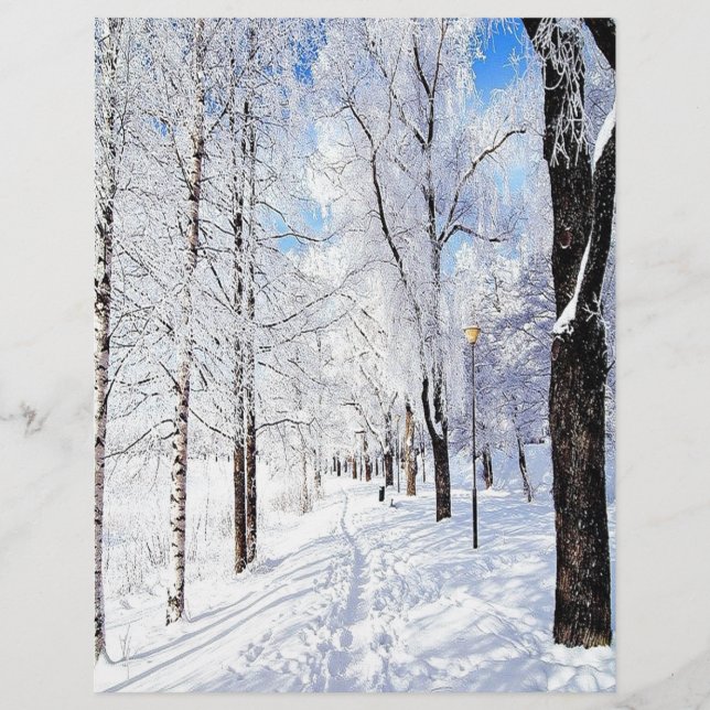 Snowy Road (Voorkant)