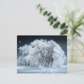 Snowy Road door Frosted Trees Briefkaart (Staand voorkant)