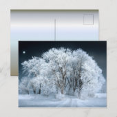 Snowy Road door Frosted Trees Briefkaart (Voorkant / Achterkant)