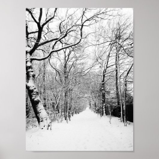 Snowy Road Poster (Voorkant)