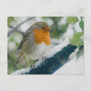 Snowy Robin Briefkaart