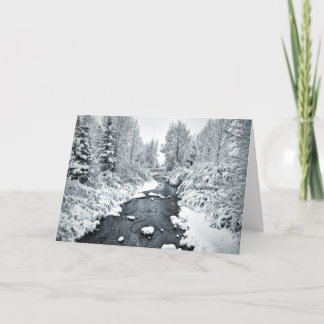 Snowy San Miguel in Telluride Colorado Feestdagen Kaart