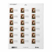 Snowy Santa  Adres Label (Full Sheet)