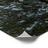 Snowy Snoopy Rock 2854 Poster (Hoek)