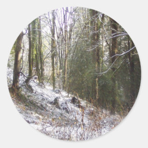 Snowy Sunlit Forest Glade Ronde Sticker