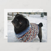 Snowy Sweater Pug Briefkaart (Voorkant / Achterkant)