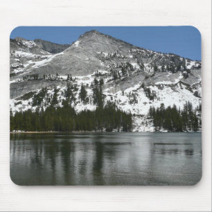 Snowy Tenaya Lake Yosemite National Park Foto Muismat