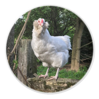 Snowy the Ameraucana hen- left keukenknob pull Keramische Knop