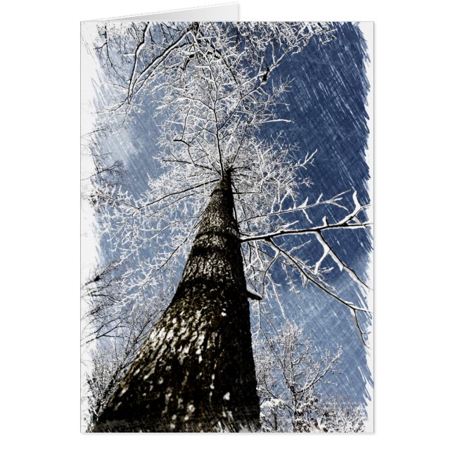 Snowy Tree (Voorkant)