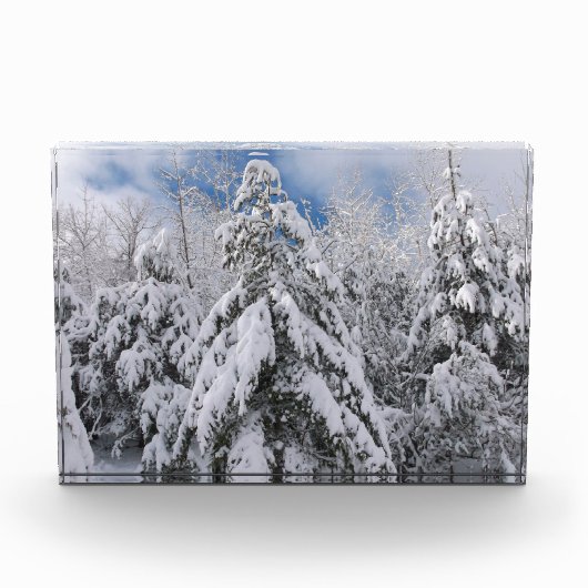Snowy Trees Fotoblokken (Voorkant)