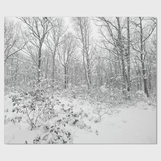 Snowy Trees in de Poconos Cadeaupapier (Vlak)