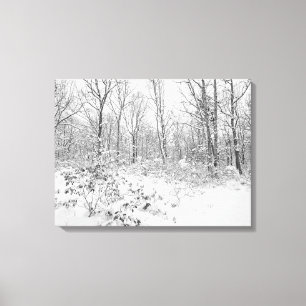 Snowy Trees in de Poconos Canvas Afdruk