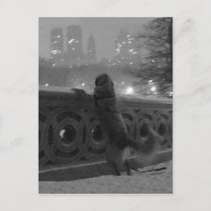 Snowy Uitzicht van het Briefkaart van Brugbrug-Cen