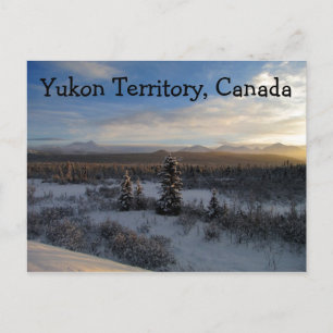 Snowy vanmiddag; Yukon Territory, Canada Briefkaart