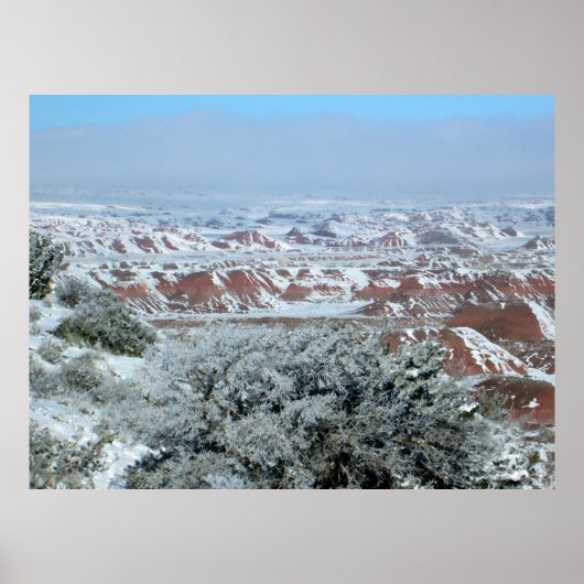 Snowy Vista van Versteend Bos Poster (Voorkant)