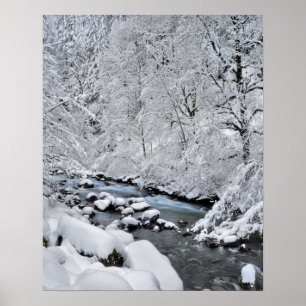 Snowy white creek schilderachtig, Oregon Poster
