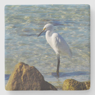Snowy White Egret Stenen Onderzetter