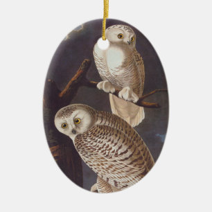 Snowy White Owl Oval kerstversiering Keramisch Ornament
