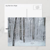 Snowy White Poplar Forest Briefkaart (Voorkant / Achterkant)