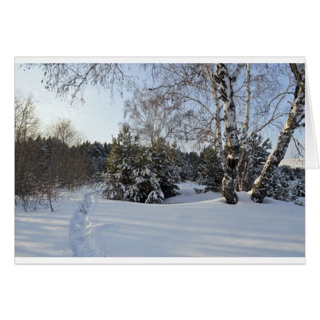 Snowy Winter Day (Voorkant Horizontaal)