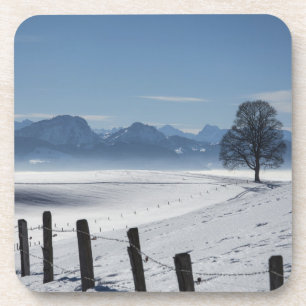 Snowy Winter Landscape Foto Bier Onderzetter