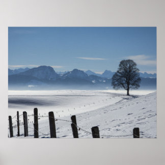 Snowy Winter Landscape Foto Poster