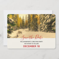 Snowy Winter Path met Pine Trees Kerstmis