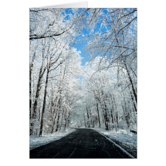 Snowy Winter Road Scene (Voorkant)