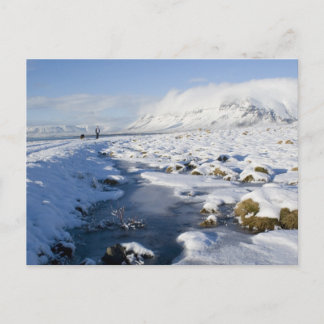Snowy Winterland Briefkaart