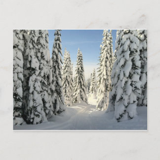 Snowy Wonderland Briefkaart