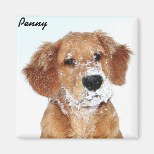 Snowy zag Penny Magnet Magneet