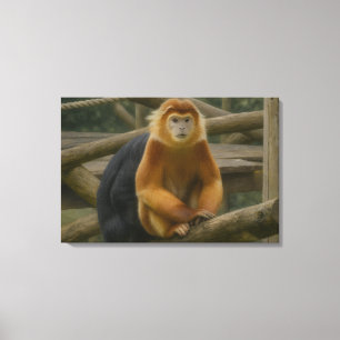 Snub-Nosed Monkey in Woodland Refuge Canvas Afdruk