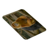 Snub-Nosed Monkey in Woodland Refuge Magneet (Rechterzijde)